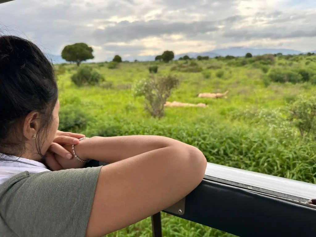Guida safari da Malindi con ospiti Tsavo East