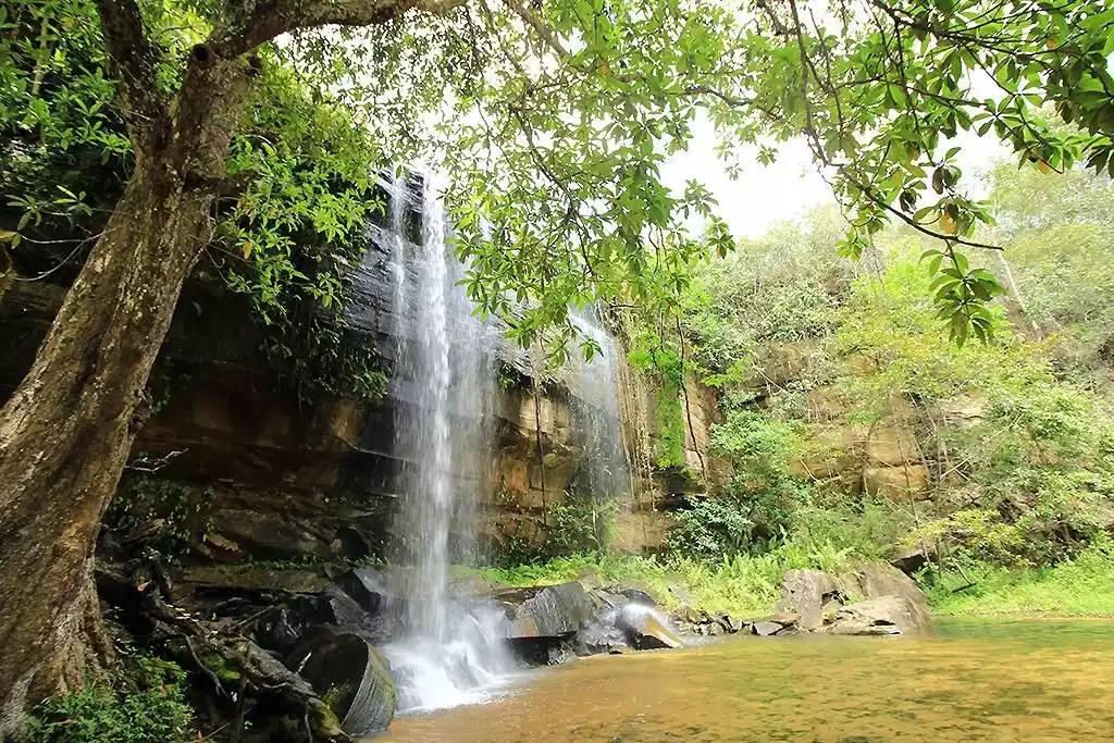 Sheldrick Falls, coastal forest of the Shimba Hills, Kenya