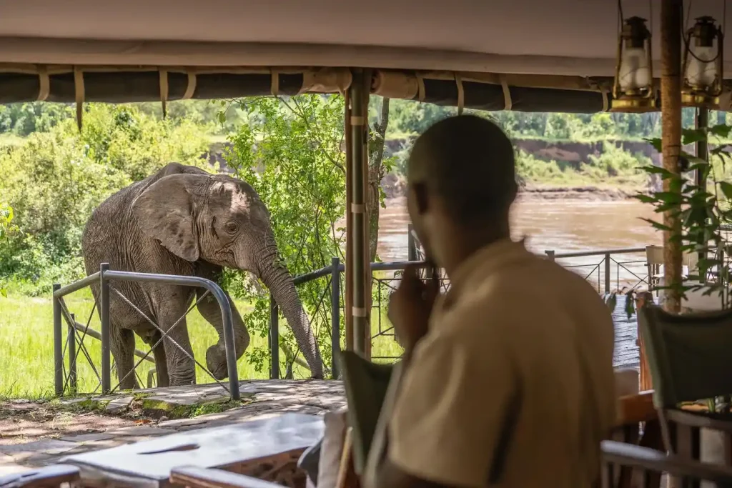 Callimero coastal safari guides in Tsavo East