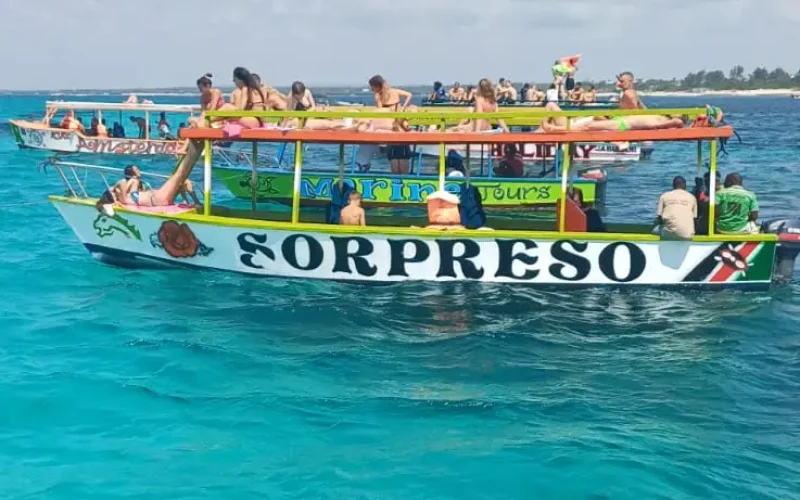 blu safari