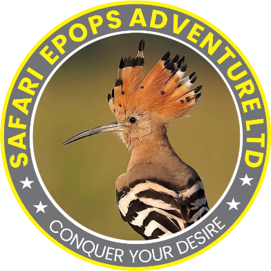 Safari Epops Adventure