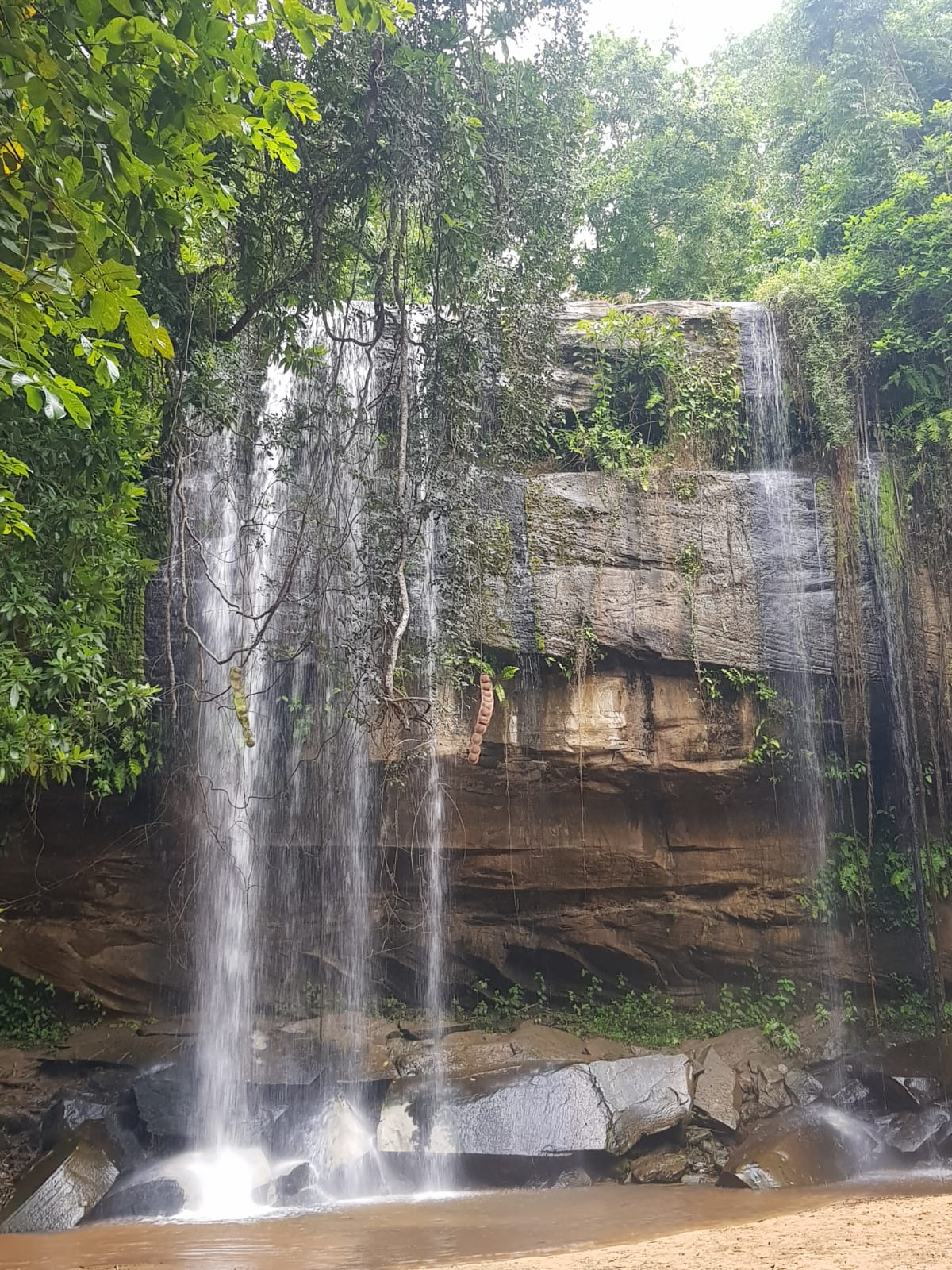Sheldrick's Falls