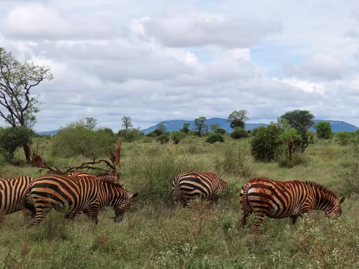 Kenya eTA guide ahot sun safaris