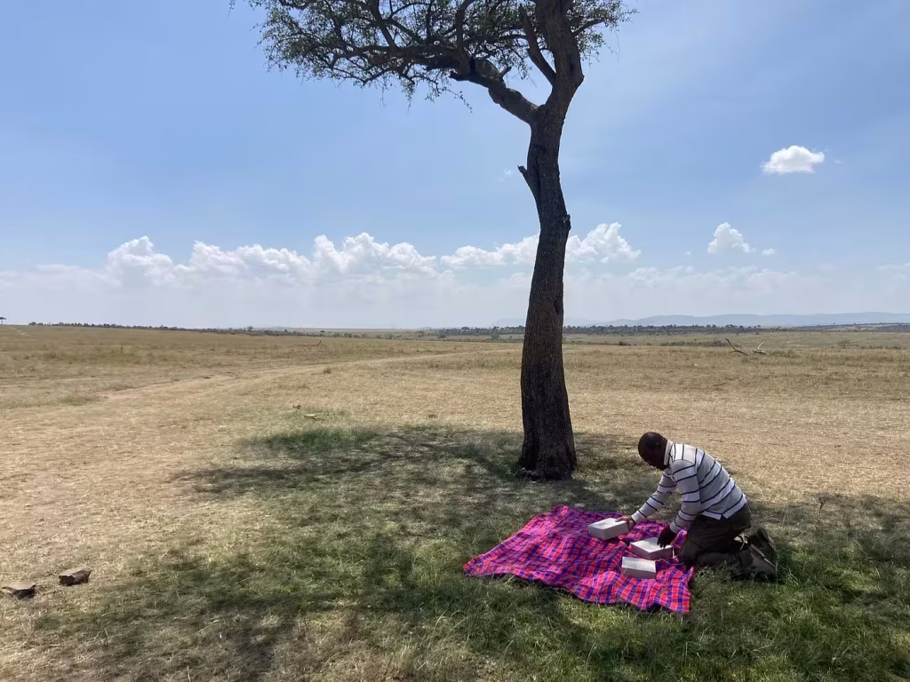 Safari bush lunch picnic setup under an acacia tree in the Maasai Mara during a 2-day road safari from Nairobi with ahot sun safari guid kasima