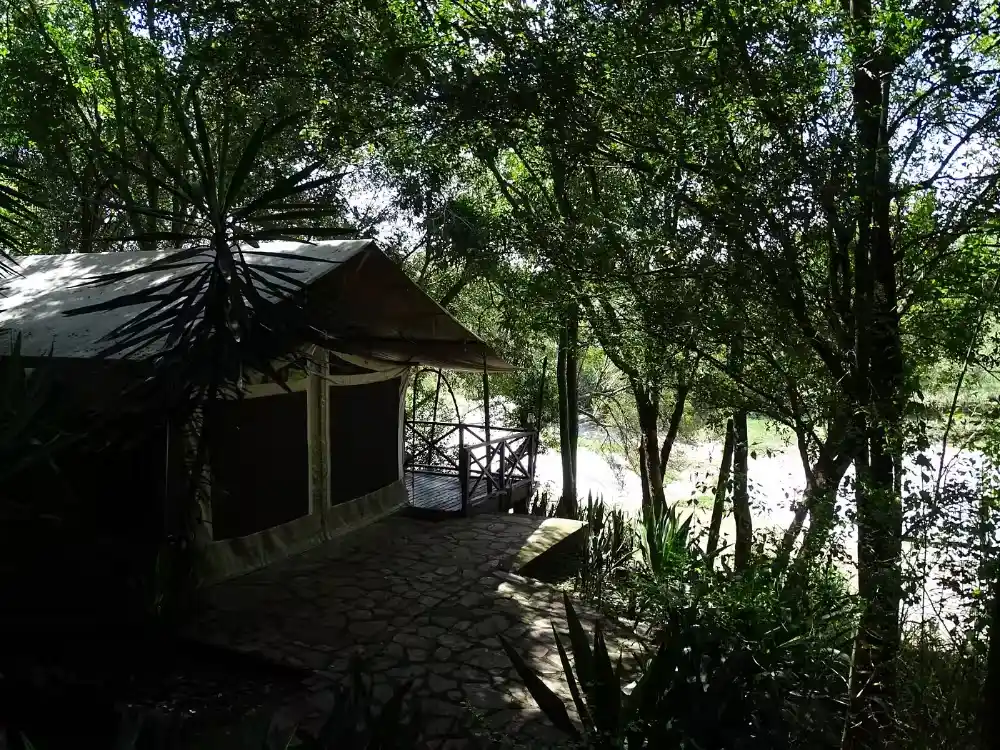 Safari tents at Mara Intrepids Camp overlooking the Talek River in the Masai Mara