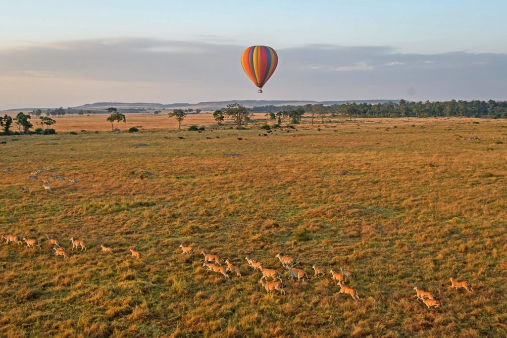 Masai Mara National Reserve