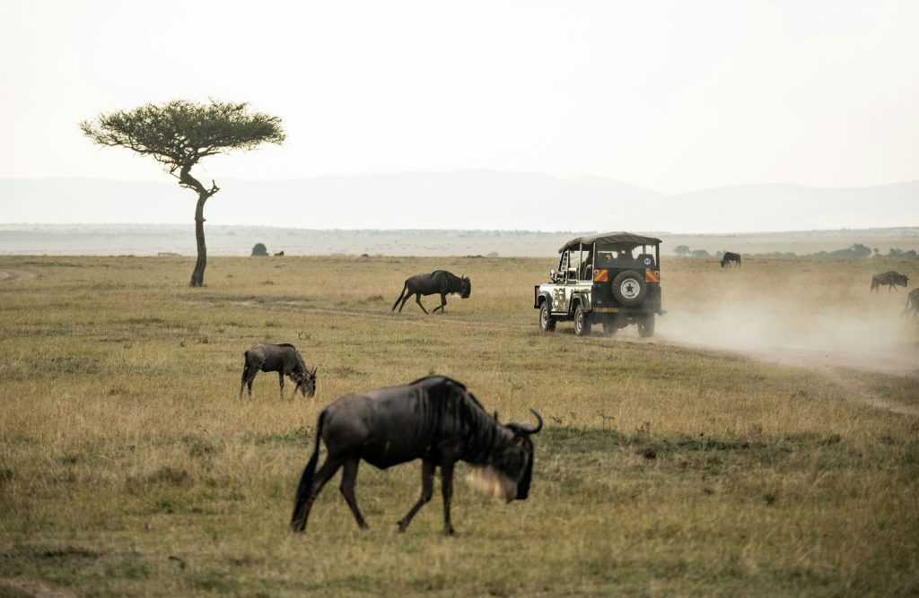Kenya Safari Africana