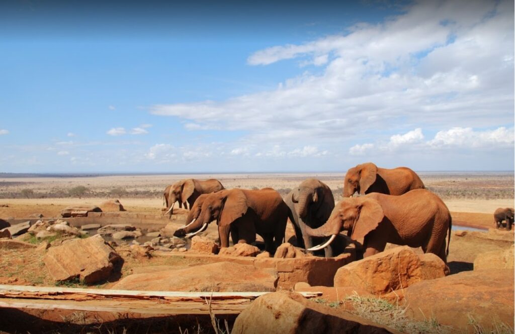 Parco Nazionale dello Tsavo