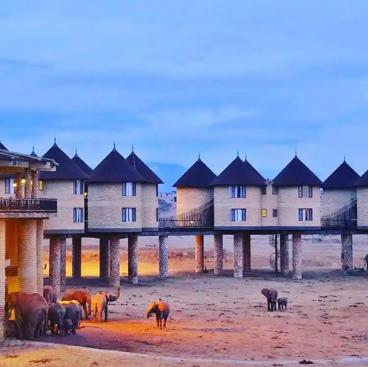 Safari “Big 5” di 7 giorni con partenza da Nairobi, organizzato da Kenya Safari Europa. Il quinto giorno si soggiorna al Salt Lick Hotel nelle Taita Hills, dove è possibile avvistare gli elefanti comodamente dalle cam