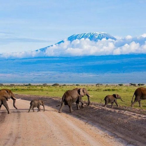 ENJOY KENYA CON FARFALLA TSAVO ESCURSIONE25