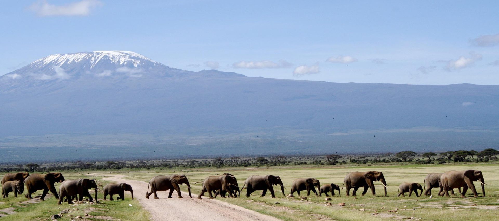 Safari Di 3 Giorni A Tsavo Est E Amboseli