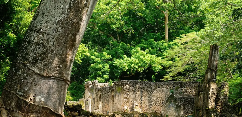 Rovine Di Gede Watamu