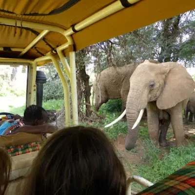 Game Drives nairobi safari