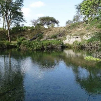 Safari nello Tsavo Ovest, Visita alle sorgenti di Mzima