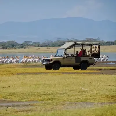 Delete_game-drive-nakuru Safari in 4x4 sul lago Nakuru