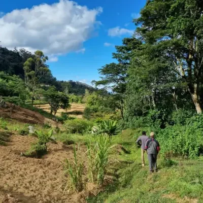 safari a piedi con guida esperta safari sulle colline di Taita