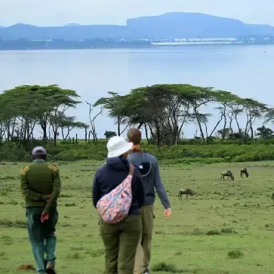 safari a piedi lago Naivasha