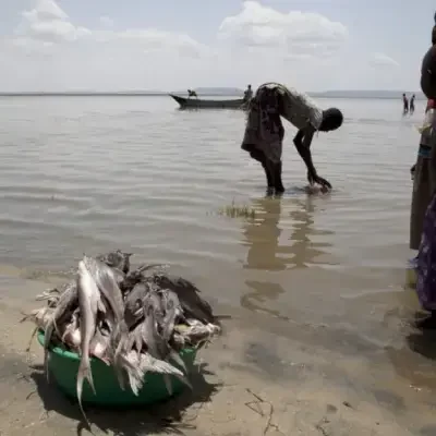 Delete_lake-naivasha7