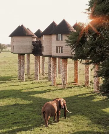 5 Days Safari Tsavo West, Amboseli, Taita, Tsavo East