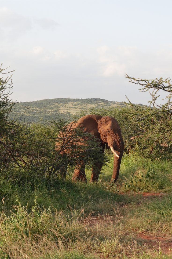 4 Days Safari taita hills 