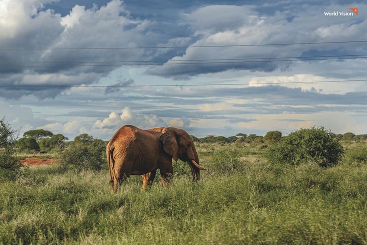 3 Days Safari Tsavo East and Amboseli
