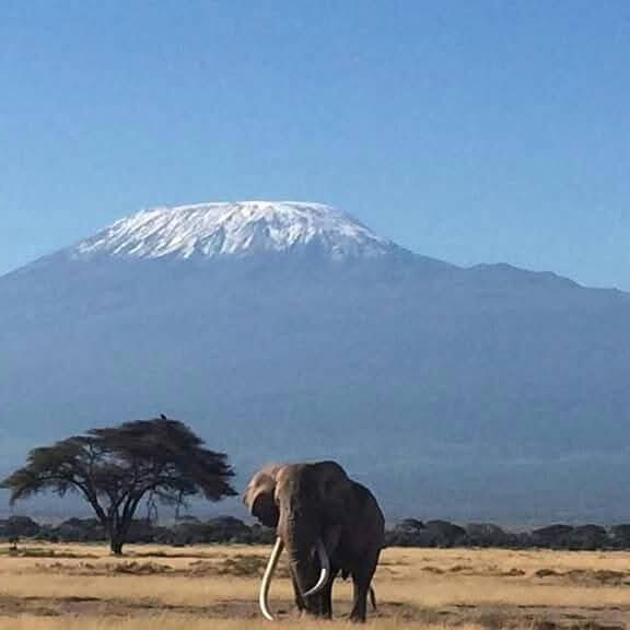 Amboseli National Park Tour