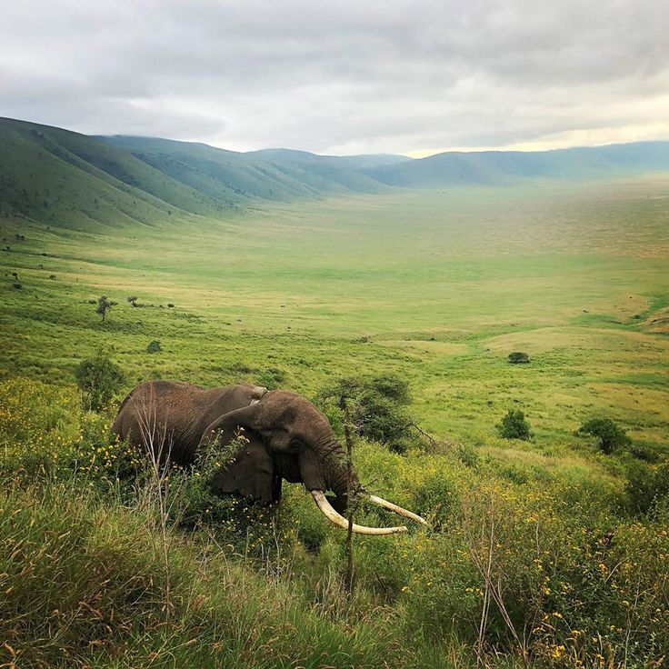 7-Day Kenya to Tanzania Safari