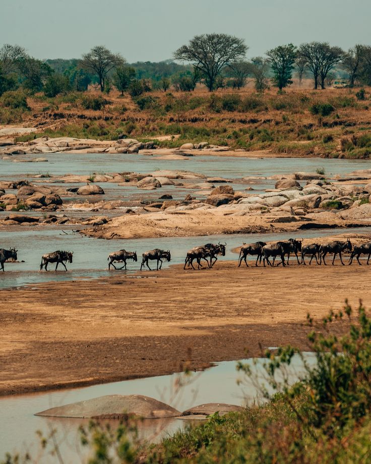 Serengeti National Park