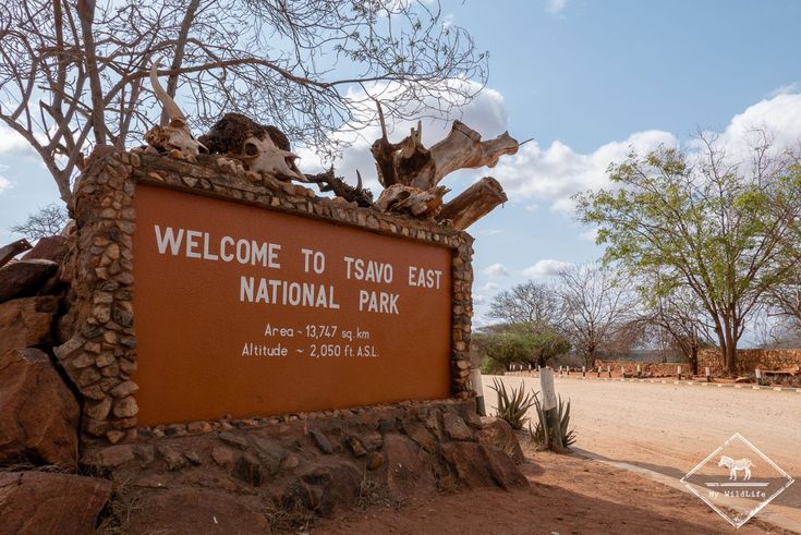Tsavo National Park Tour