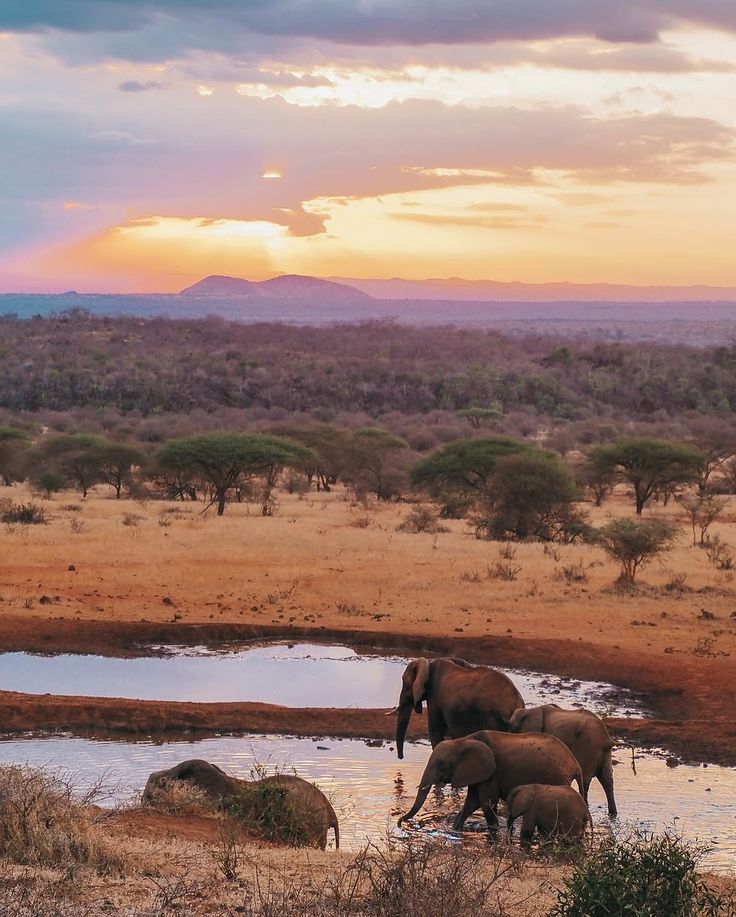 Tsavo National Park Tour