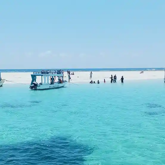 Escursione all'Isola di Robinson