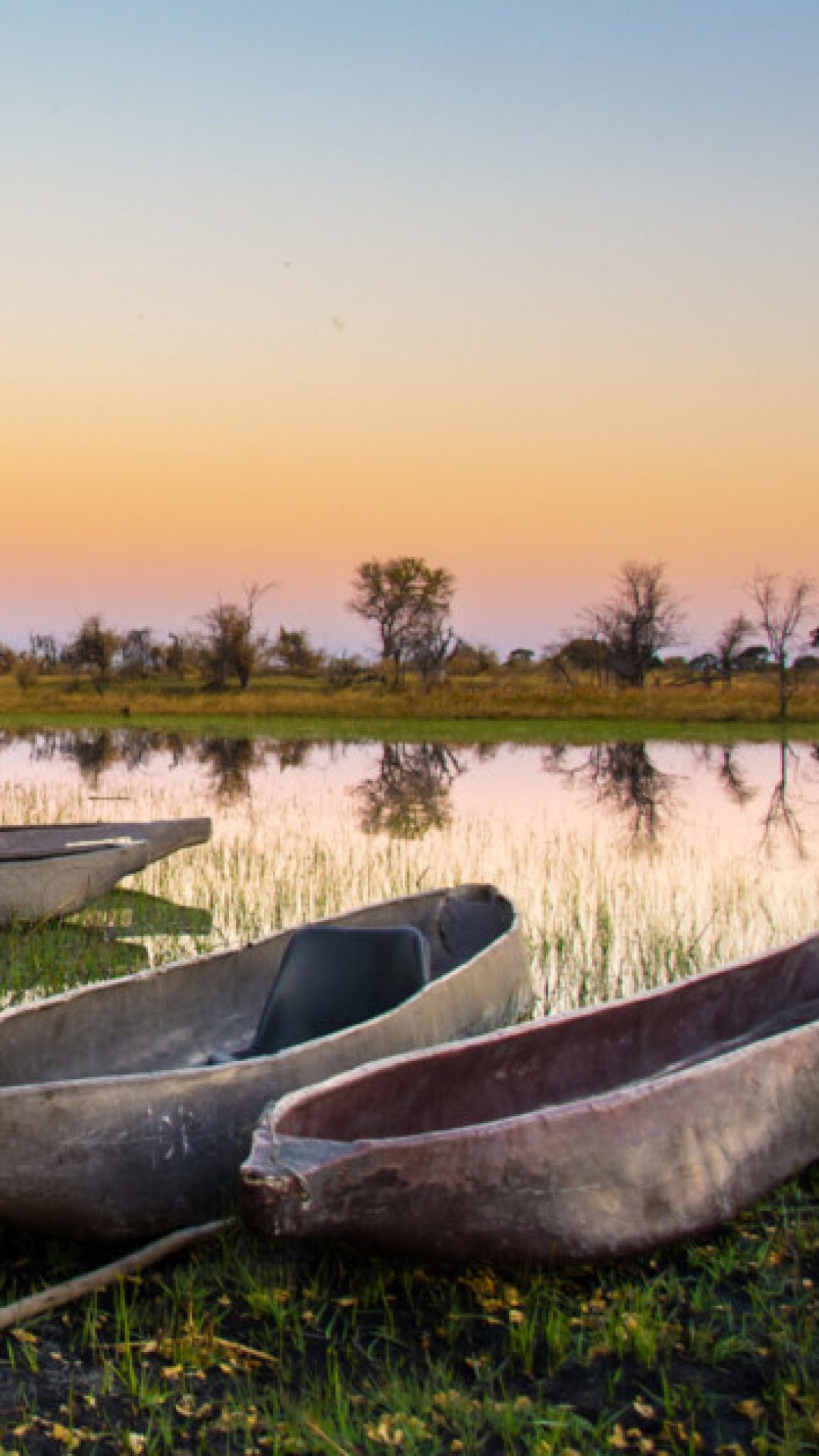 Mocorros of the Okavango Delta