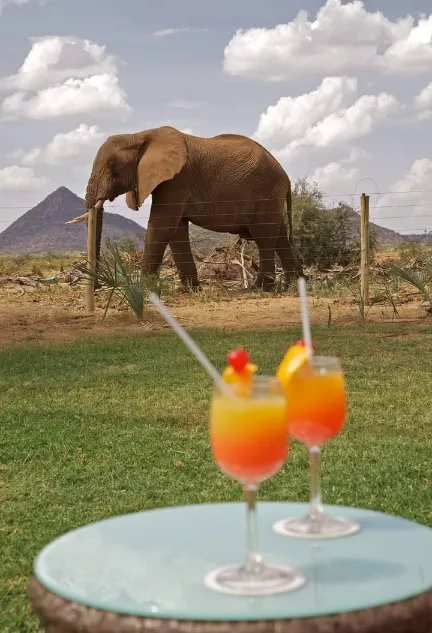 Safari Watamu 3 giorni