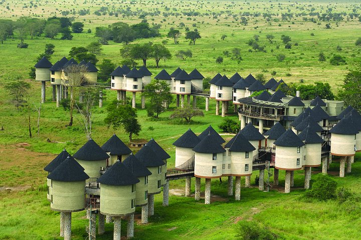 taita hills salt lick lodge