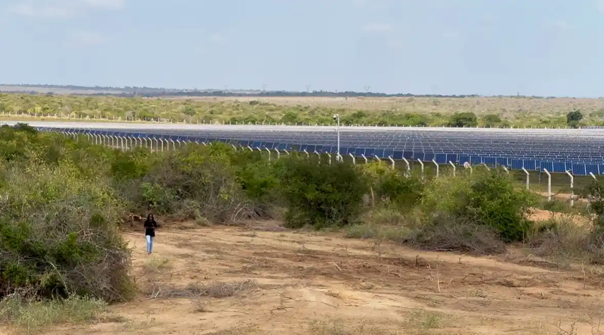Affordable 50x100 shamba plot in Baolala Malindi — flat terrain ready for building or farming